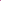 Chemise Plavi coloris prune Melle D 