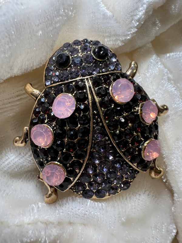 broche cocci